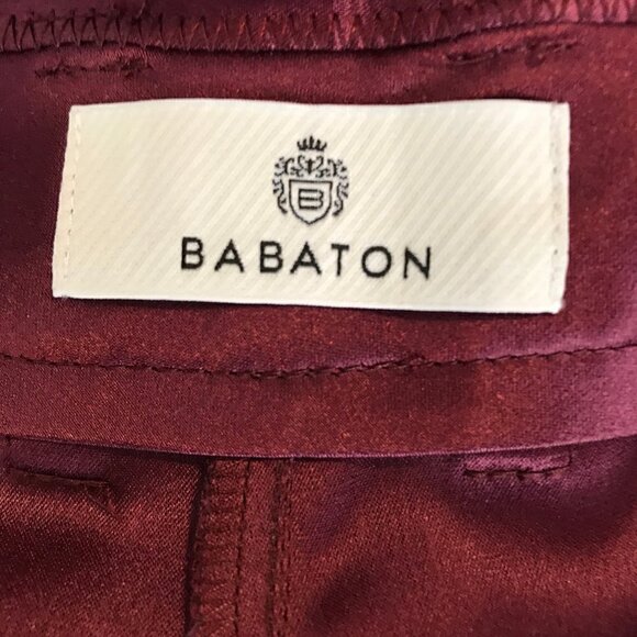 NWT Aritzia Babaton Refined Satin Cargo Pant High-waisted, satin cargo pants S 6 - Picture 10 of 13